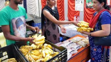 Celebrating banana festival in Mysuru to showcase its diversity 