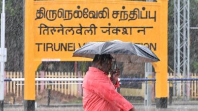 Tamil Nadu rains: Holiday declared for schools in Tirunelveli, Thoothukudi, Tenkasi and Karaikal