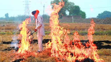 The discrepancy between satellite data of farm fires and air pollution | Explained