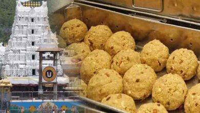 Tirupati temple laddu controversy: विशेष जांच दल ने चार लोगों को किया गिरफ्तार, गीहू में मिले पशु वसा