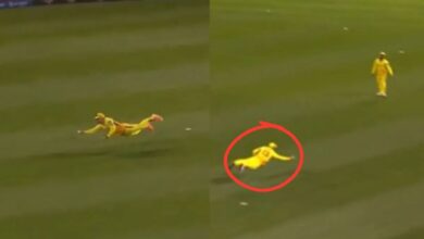 Major League Cricket: हवा में उड़कर लिया एक हाथ का कैच मैदान पर छा गए 40 साल के फाफ डु प्लेसिस
