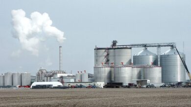 Ethanol Industry: तीन राज्यों के फैसले से केंद्र सरकार नाराज़! क्या आम आदमी को भरनी पड़ेगी ज्यादा कीमत?
