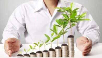 Flexi Cap Vs Multi Cap Mutual Funds: नए निवेशकों के लिए बड़ी खबर किस फंड में लगाएं पैसा जिससे मिले सुरक्षित रिटर्न और शांति से बढ़े निवेश