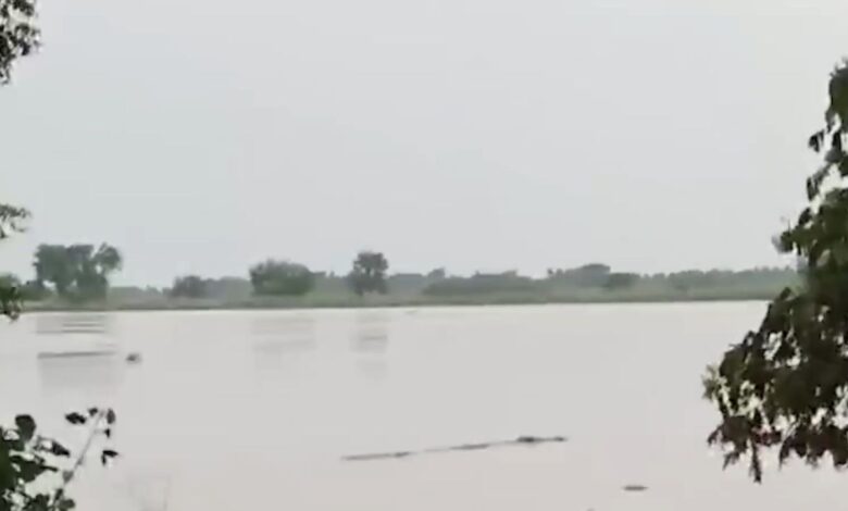 ओडिशा बाढ़ में मगरमच्छों का आतंक, गांवों में घुसकर लोगों को डराया, ब्राह्मणी नदी उफान पर