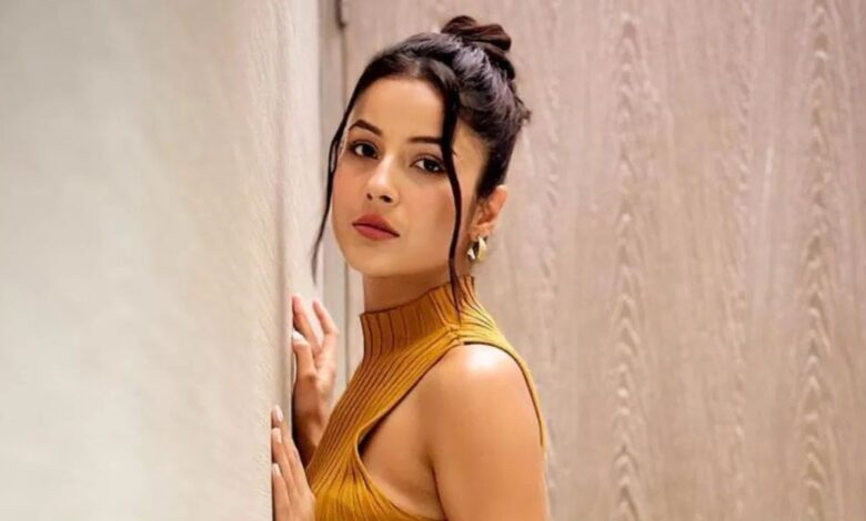 शहनाज गिल का खुलासा, फेम और पैसे के बाद भी नहीं मिली शांति, लिया थेरेपी का सहारा