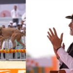 भारत के वो देसी डॉग्स जिनकी बहादुरी पर बनी हैं अनगिनत दंतकथाएं – जानें कौन हैं ये योद्धा नस्लें!