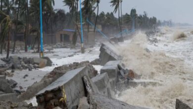 चक्रवात दितवा ने श्रीलंका में मचाई तबाही, अब भारत के तटीय इलाकों में अलर्ट जारी