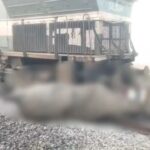 असम में राजधानी एक्सप्रेस हाथियों से टकराई, इंजन सहित पांच डिब्बे पटरी से उतरे