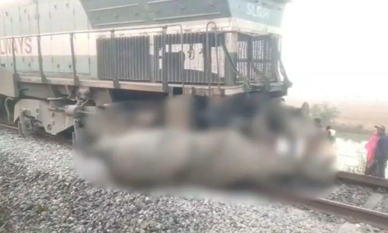 असम में राजधानी एक्सप्रेस हाथियों से टकराई, इंजन सहित पांच डिब्बे पटरी से उतरे