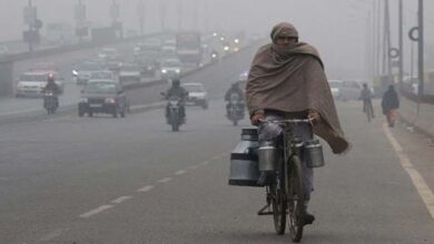 Weather Upadte: उत्तर भारत में सर्दी ने मचाई सनसनी, तेज़ हवा और घने कोहरे से बढ़ेगा खतरा या मिलेगी राहत
