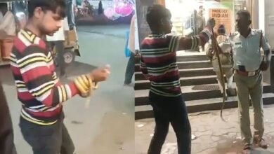 ड्रंक ऑटो चालक की सनक, दस्तावेज मांगने पर पुलिस टीम के सामने निकाल दिया सांप