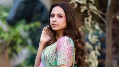 पंजाबी फिल्म इंडस्ट्री का उभार, सरगुन मेहता ने बताया बदलाव का सफर