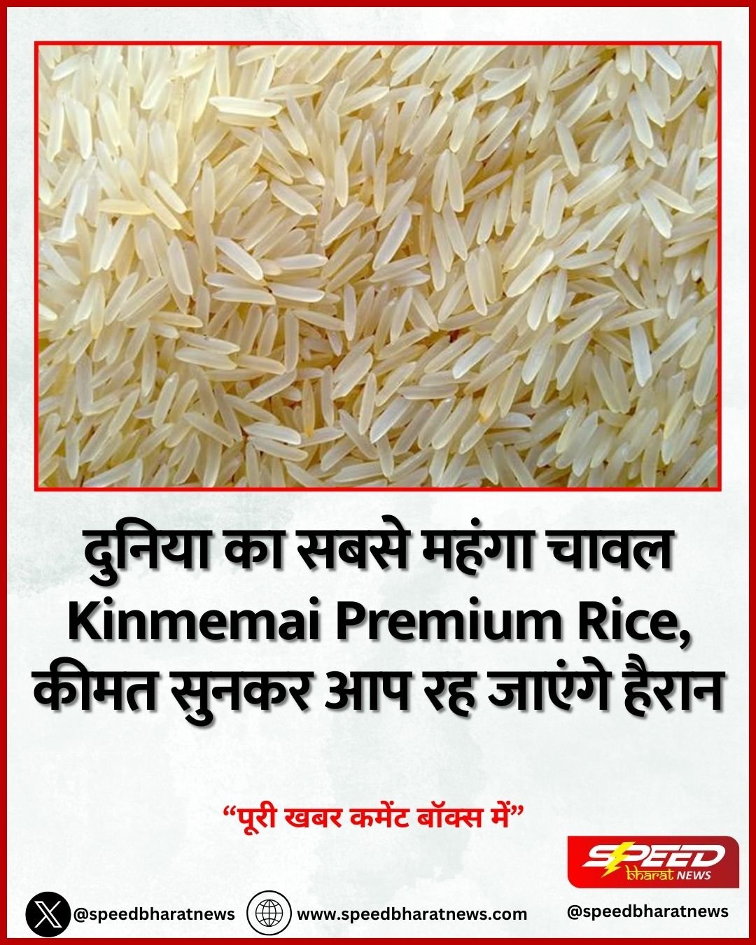 दुनिया का सबसे महंगा चावल Kinmemai Premium Rice, कीमत सुनकर आप रह जाएंगे हैरान