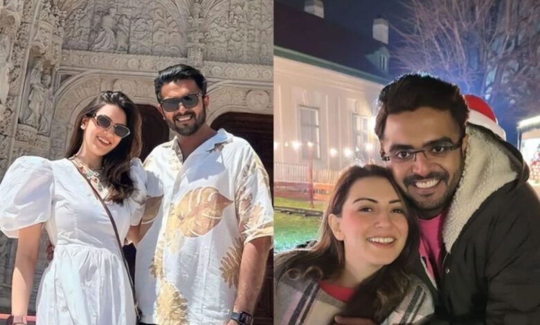 चार साल में टूट गया हंसिका-सोहेल का रिश्ता, कोई एलिमनी दावा नहीं किया