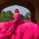 जयपुर में एक विदेशी फोटोशूट को लेकर बड़ा विवाद खड़ा हो गया है। मामला एक 65 वर्षीय हथिनी “चंचल” से जुड़ा है, जिसे गुलाबी रंग में रंगकर फोटोशूट किया गया था। अब पिछले महीने उसकी मौत के बाद यह सवाल उठने लगा है कि क्या इस रंगाई का उसकी मौत से कोई संबंध है। इस फोटोशूट को रूसी फोटोग्राफर Julia Buruleva ने अंजाम दिया था। उन्होंने एक मॉडल को हथिनी पर बैठाकर अनोखे अंदाज में तस्वीरें खींचीं, जो सोशल मीडिया पर वायरल हो गईं। जहां कुछ लोगों ने तस्वीरों की खूबसूरती की तारीफ की, वहीं बड़ी संख्या में यूजर्स और पर्यावरण कार्यकर्ताओं ने इसे जानवरों के प्रति क्रूरता बताया। हथिनी “चंचल” की मौत के बाद विवाद और गहरा गया। हालांकि, Jaipur Elephant Association और हाथी गांव विकास समिति ने स्पष्ट किया है कि उसकी मौत प्राकृतिक कारणों से हुई है। समिति के अध्यक्ष बल्लू खान के अनुसार, फोटोशूट में इस्तेमाल किया गया रंग गुलाल जैसा ऑर्गेनिक था, जिसे कुछ समय बाद हटा दिया गया था और इससे जानवर को कोई नुकसान नहीं हुआ। इसके बावजूद, कई लोगों ने हाथियों की संवेदनशील त्वचा का हवाला देते हुए इस तरह के प्रयोगों पर सवाल उठाए हैं। सोशल मीडिया पर यूजर्स का कहना है कि सिर्फ तस्वीरों को आकर्षक बनाने के लिए जानवरों को इस तरह रंगना गलत है, भले ही रंग ऑर्गेनिक ही क्यों न हो। कुछ लोगों ने सुझाव दिया कि ऐसे क्रिएटिव प्रोजेक्ट्स के लिए AI या डिजिटल एडिटिंग का इस्तेमाल किया जा सकता था। फोटोग्राफर जूलिया बुरुलेव ने सफाई देते हुए कहा कि उन्होंने राजस्थान की रंगीन संस्कृति से प्रेरित होकर यह कॉन्सेप्ट तैयार किया था। उनके मुताबिक, भारत में त्योहारों और आयोजनों में हाथियों को सजाने की परंपरा रही है, और इसी को ध्यान में रखते हुए उन्होंने यह शूट किया। उन्होंने यह भी दावा किया कि इस्तेमाल किया गया रंग पूरी तरह सुरक्षित और प्राकृतिक था। फिलहाल, यह मामला जानवरों के अधिकार, उनकी सुरक्षा और फोटोशूट जैसे व्यावसायिक उपयोगों को लेकर नई बहस छेड़ रहा है। सवाल यह है कि क्या परंपरा और कला के नाम पर जानवरों के साथ इस तरह का व्यवहार उचित है, या इसके लिए सख्त नियमों की जरूरत है।