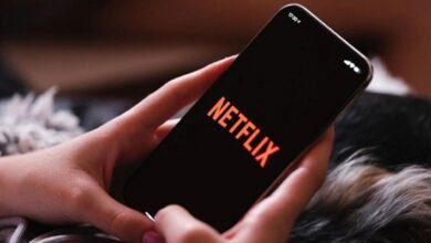 Netflix सब्सक्रिप्शन के नाम पर नई साइबर ठगी I4C ने जारी किया बड़ा अलर्ट