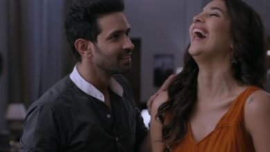 विक्रांत मैसी और हरलीन सेठी की लव स्टोरी क्यों बनी इमोशनल मास्टरपीस