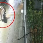 इंदौर के रिहायशी इलाके में घुसा तेंदुआ, डिलीवरी बॉय पर हमला CCTV में कैद; वन विभाग ने जारी किया अलर्ट