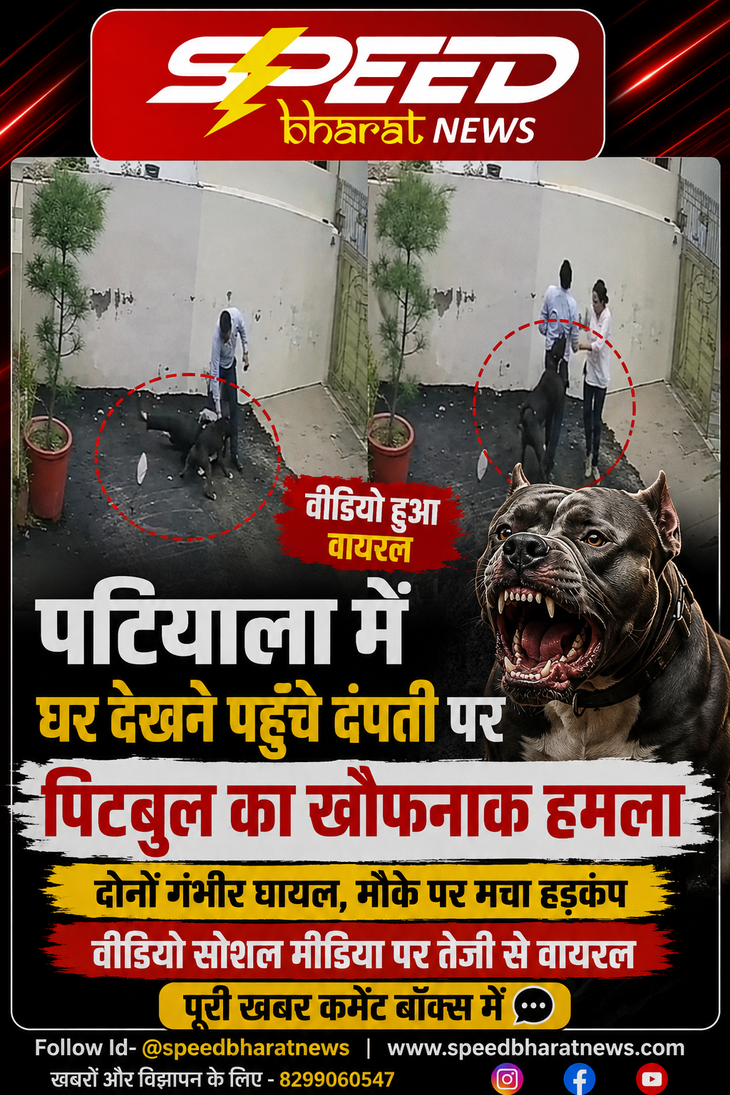 पटियाला में घर देखने पहुंचे दंपती पर पिटबुल का खौफनाक हमला, दोनों गंभीर घायल, वीडियो सोशल मीडिया पर तेजी से वायरल हुआ