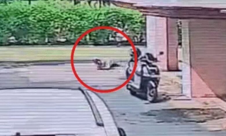 गरिमा सिंह के खिलाफ शिकायत के 7 दिन बाद डॉक्टर ने दी जान, सुसाइड नोट में लगाए गंभीर आरोप