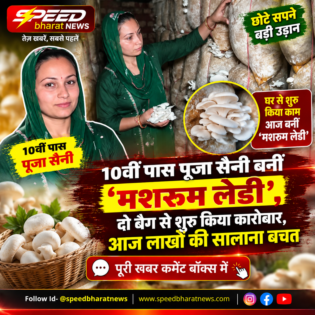 10वीं पास पूजा सैनी बनीं ‘मशरूम लेडी’, दो बैग से शुरू किया कारोबार, आज लाखों की सालाना बचत