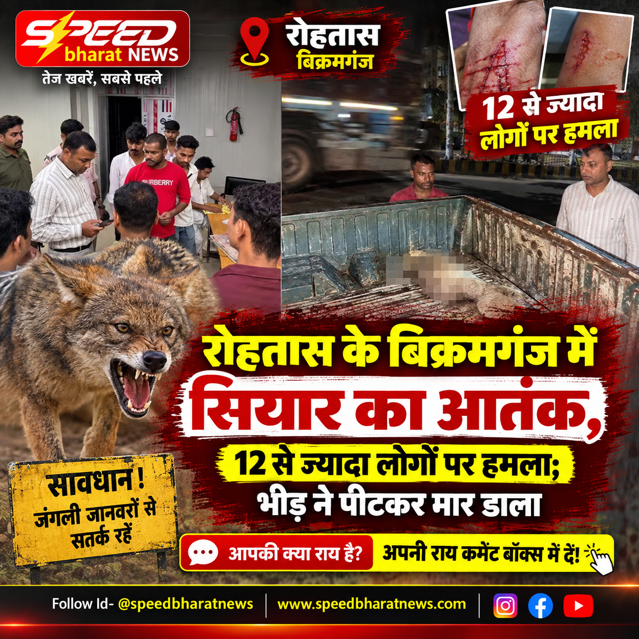 रोहतास के बिक्रमगंज में सियार का आतंक, 12 से ज्यादा लोगों पर हमला; भीड़ ने पीटकर मार डाला