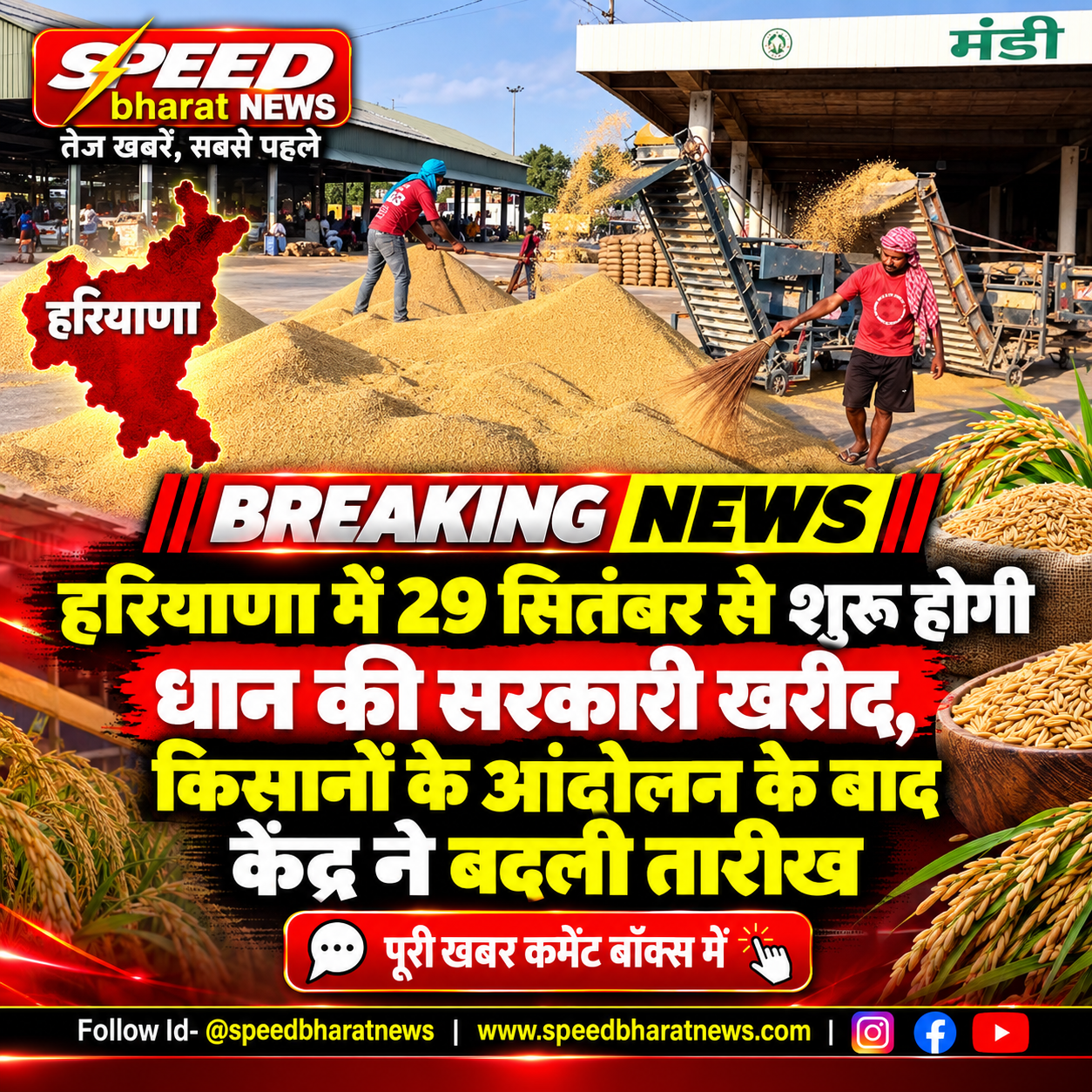 हरियाणा में 29 सितंबर से शुरू होगी धान की सरकारी खरीद, किसानों के आंदोलन के बाद केंद्र ने बदली तारीख