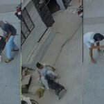 सोनीपत में 6 महीने के बच्चे पर पिटबुल का हमला, CCTV में कैद हुई पूरी घटना; बुआ भी घायल