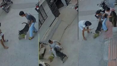 सोनीपत में 6 महीने के बच्चे पर पिटबुल का हमला, CCTV में कैद हुई पूरी घटना; बुआ भी घायल
