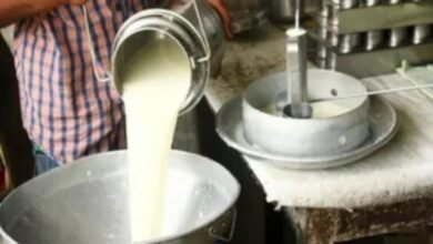 हरियाणा में दूध-घी के बढ़ेंगे दाम, चीका में तय हुए नए रेट; 1 अक्टूबर से लागू
